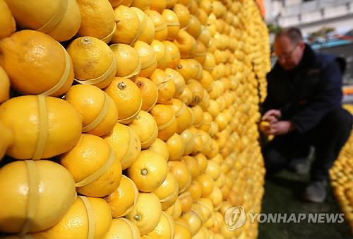 감귤