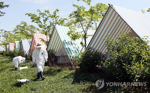 진드기