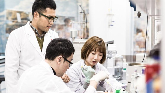 대웅제약, 연세대와 난청치료 신약개발 추진