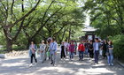 서울대암병원, 암 예방 335걷기대회 개최