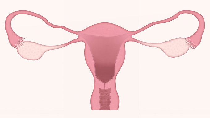사실상 혼인관계 부부도 난임치료시술 가능