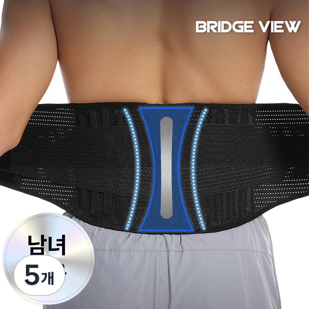 브릿지뷰 코어핏 척추지지 허리보호대, 5개