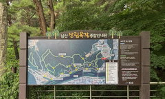 평창 남산산림욕장, 안전한 '치유의 길'로 재탄생… 보건 증진 기대