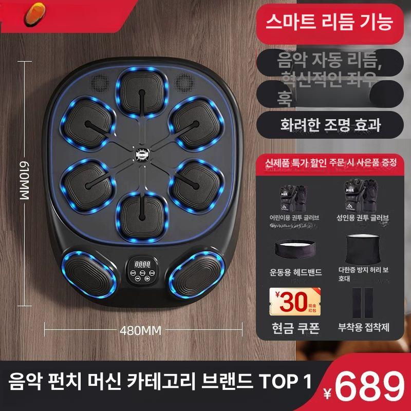 리리아누 스마트 홈 짐 뮤직 복싱 머신
