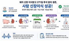 돼지 신장 271일 생존, 이종이식 독립 치료법 기대