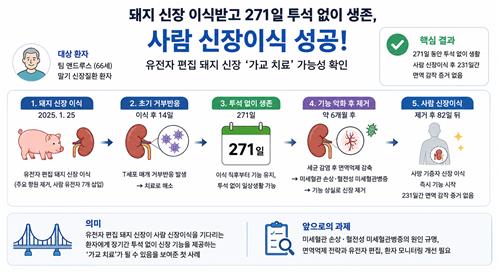 돼지 신장 271일 생존, 이종이식 독립 치료법 기대
