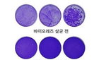 코로나 살균. 광반도체 바이오레즈 주목