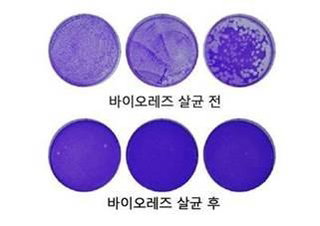 bio