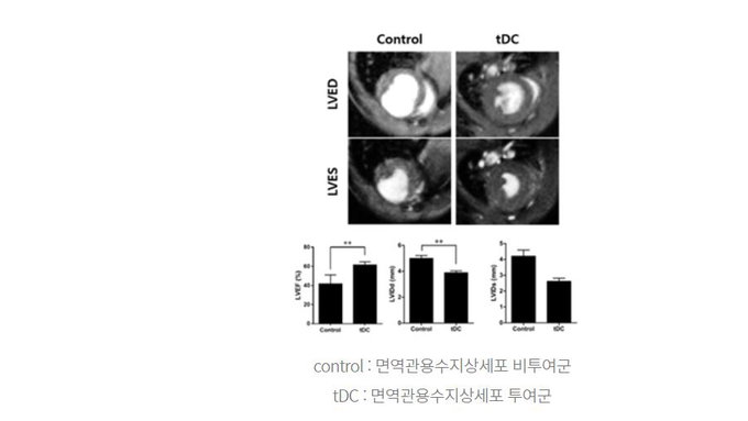 급성심근경색 후 심부전 예방 치료제 임상시험 승인