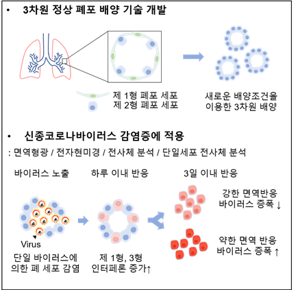 kaist