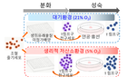 조혈모세포 이식 합병증 예방 가능해질까?