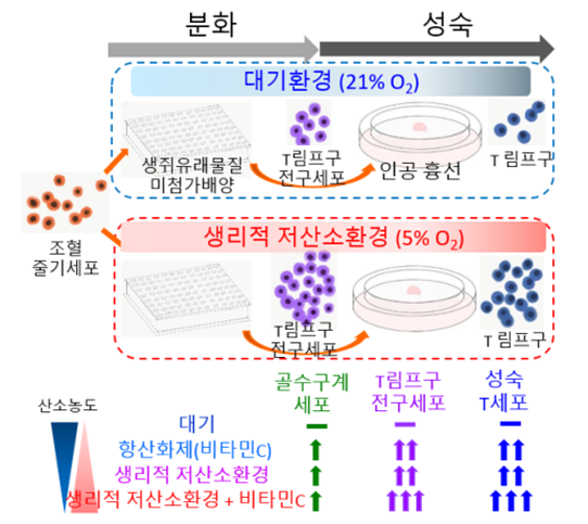 seoul