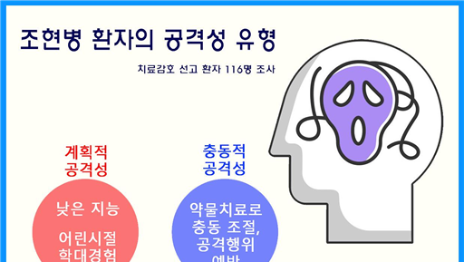 "조현병 환자의 공격성, 유형에 맞는 접근 필요"