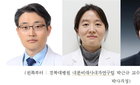 경북대학교 박근규 교수 연구팀, 간암 치료제 소라페닙 내성 유발 기전 밝혀