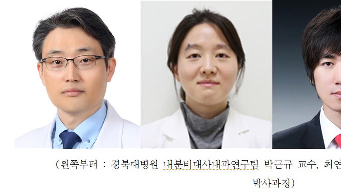 경북대학교 박근규 교수 연구팀, 간암 치료제 소라페닙 내성 유발 기전 밝혀