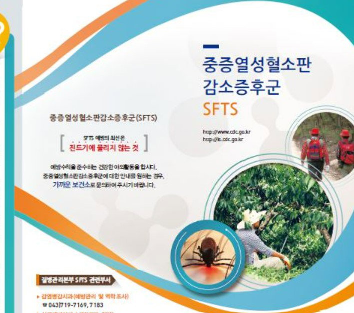 중증열성혈소판감소증후군 SFTS 진드기