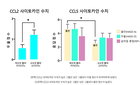 서울대-단국대 병원 연구팀, "뇌전증 환자의 우울·불안, 체내 염증반응과 관련" 밝혀내