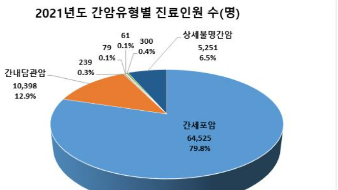 간암 중 가장 흔한 「간세포암」환자, 남성이 77% 차지