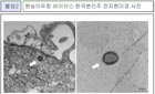 질병관리청 원숭이두창 바이러스 분리 성공, 유전정보 공개