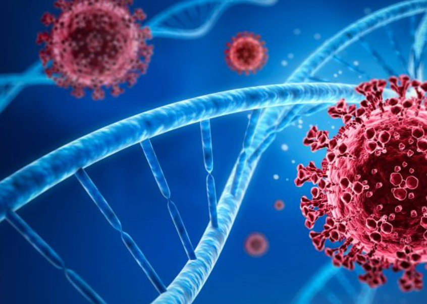 www.drugtargetreview.com