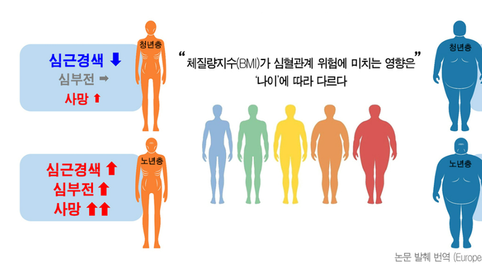 젊은층 비만일수록 심혈관계 발생 위험 커