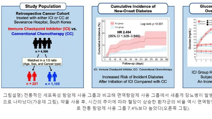 연세 세브란스병원 "면역항암제 사용에 따른 당뇨병 발병 위험" 규명