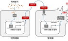 "미세먼지가 면역 담당 세포 자극해 암 전이 촉진"