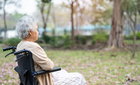 뇌 속 노폐물 청소하는 '뇌척수액' 배출 허브 찾았다