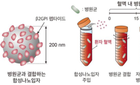 치명적인 패혈증. 빠르게 향균제 찾을 수 있게 돼