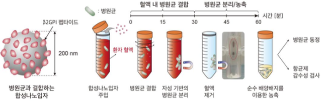 서울대병원·서울대 공동 연구팀이 개발한 ‘초고속 항균제 감수성 검사(uRAST)’ 에서 검사에 필요한 병원균을 확보하기 위해 시행하는 ‘사전 배양’ 과정.