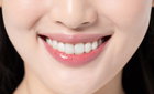 인간 치아 배양 성공. 치아 이식 가능성 열려