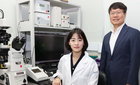 빛 쪼여 원할 때만 유전정보 저장…KAIST, 릴리저 기술 개발