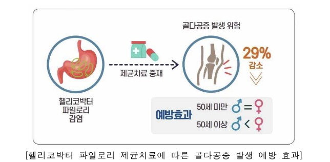 분당서울대병원 골다공증 발생률 비교