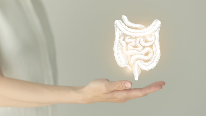 대장염 유발·항생제 내성의 살모넬라균, AI로 예방 물질 발견