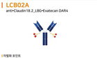 바이오스냅 리가켐, CLDN18.2 ADC 후보물질 글로벌 임상 1/2상 IND 제출