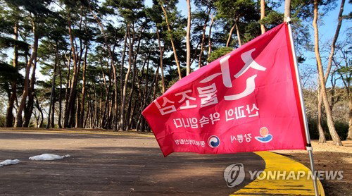 강원 낮 기온 최고 26도 기록, 내륙&middot;산지 건조한 날씨 지속 '화재 주의보'