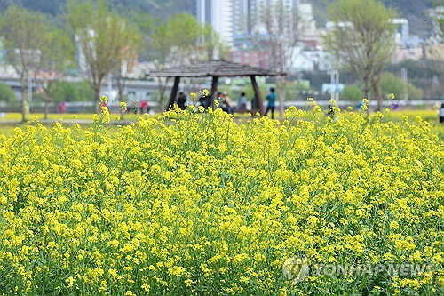 전북, 14일 대체로 흐리고 낮 최고 25도까지&hellip;일교차 15도 &lsquo;건강 유의&rsquo;
