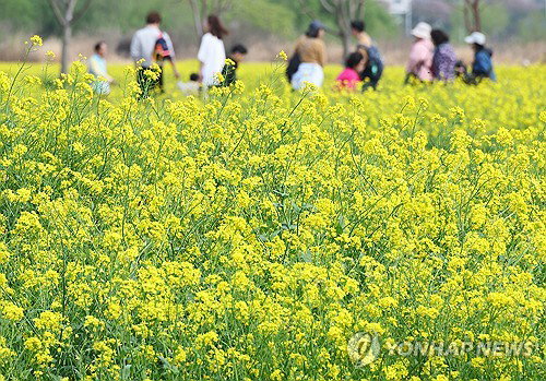 부산&middot;울산&middot;경남, 14일 흐리고 비&hellip; 낮 최고 19~22도 기록