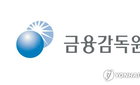 금융감독원, 자산운용사 의결권 행사 공시·절차 정밀 진단
