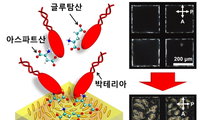 식중독균 6시간 검사, 1분 만에…국내 연구진, 초고속 바이오센서 기술 개발