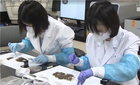 말라리아 환자 5월 이후 급증 전망, 연초 감소세 전환 ... 수도권 방역 강화