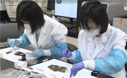 말라리아 환자 5월 이후 급증 전망, 연초 감소세 전환 ... 수도권 방역 강화