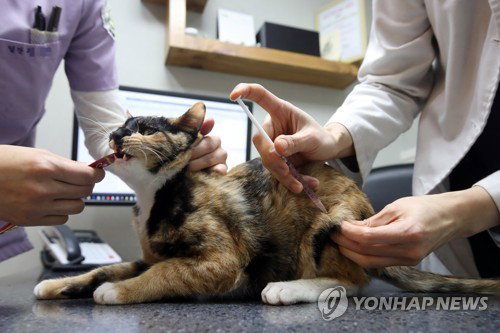 반려동물 의료: 진료비 부담 완화 위한 제도개선 TF 출범 ... 민관 협력