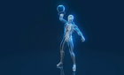 골다공증 예방의 핵심: 칼슘과 비타민 D, 제대로 알고 섭취하는 완벽 가이드
