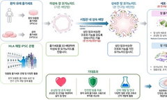 83억 기술 이전, '작은 장기'가 손상된 장 직접 재생… 난치병 새 지평 열다
