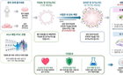 난치성 장 질환에 '희망 빛', 83억 오가노이드 재생치료 상용화 본궤도