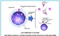 엑소피아, 혈액 한 방울로 5대 암 94% 조기진단