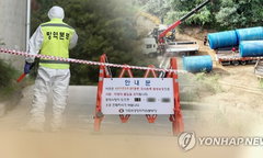 ASF 전국 확산 비상, 전북 574개 농가 3단계 방역 총력