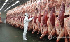 항생제 내성 막는다' 검역본부, 축산물 잔류검사 3년 연속 '만족' 판정...국제적 신뢰 입증