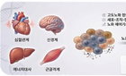 정부, 475억 '노화 리프로그래밍' 착수…세포 노화 역전 새 지평
